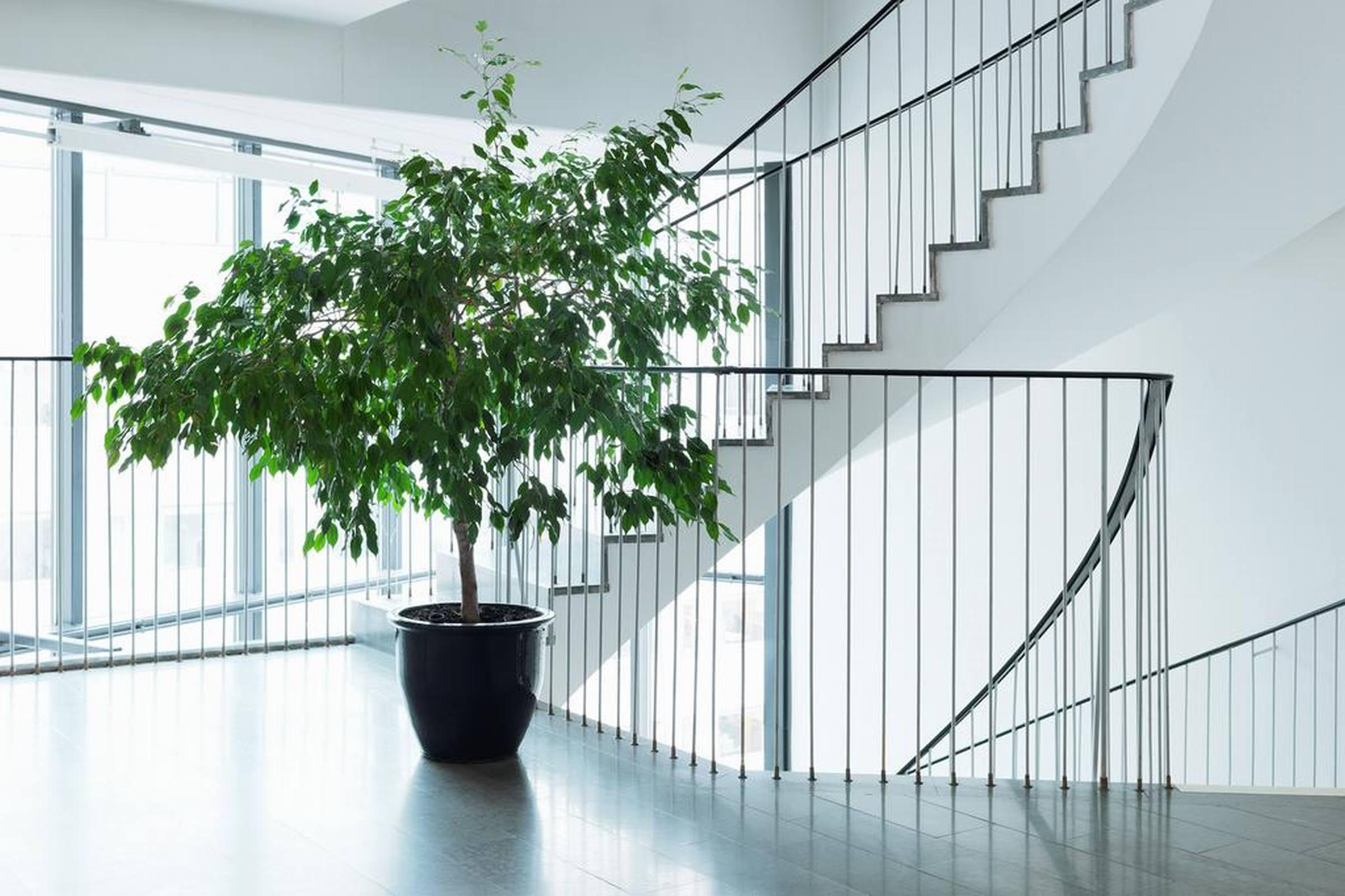 Scandic Park Stockholm Ngoại thất bức ảnh